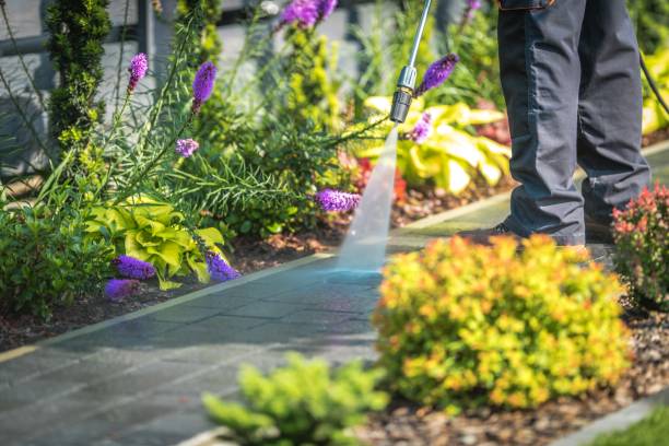 Professional Pressure Washing Services in Amboy, WA