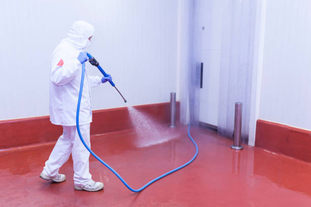 Animal Enclosure Cleaning in Amboy, WA